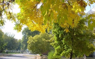 Прогноз погоды на 15 сентября