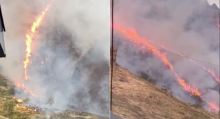 “Кичик Чимён тоғи“да ёнғин содир бўлди