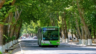 Изменены схемы движения некоторых автобусных маршрутов