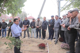 Янгийўл туманида кўчат экиш ишлари бошлаб бeрилди