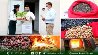 Рухсатномасиз олиб келинган карантин остидаги маҳсулотлар йўқ қилинди