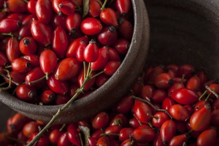 Узбекистан в 2023 году планирует вырастить 432 тонны шиповника