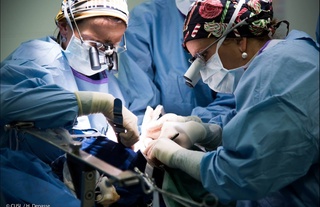 АҚШ олимлари жигар трансплантациясига муҳтож беморларни янги усулда даволамоқчи