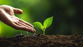 Irrigatsiya va suv muammolari