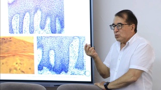 Опыт специалистов - качественные медицинские услуги населению