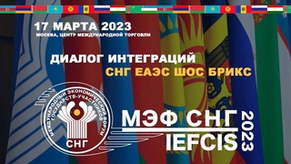В Москве пройдет XV Международный экономический форум государств - участников СНГ «Диалог интеграций: СНГ, ЕАЭС, ШОС, БРИКС»
