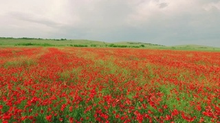 Бугун мамлакатимизда ёғингарчилик кутилмайди
