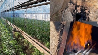 Юнусобод ва Қибрай туманларида 934,9 млн сўмлик газдан ноқонуний фойдаланган иссиқхоналар аниқланди