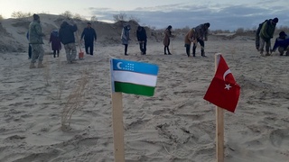 "Келажакка нафас” дарахт экиш акциясига старт берилди