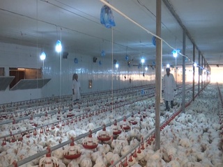 Қисқа муддатда кириб келаётган даромад