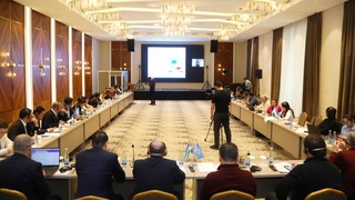 Обсуждены вопросы определения и мониторинга углекислого газа в лесах Узбекистана