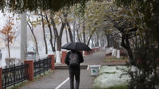 Dam olish kunlari havo harorati pasayadi — Oʻzgidromet