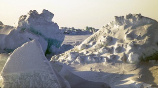 Швейцария музликлари икки йил ичида 10 фоизга қисқарди