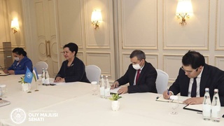 Танзила Нарбаева встретилась с Региональным директором Структуры «ООН-женщины» Алией Эль-Яссир