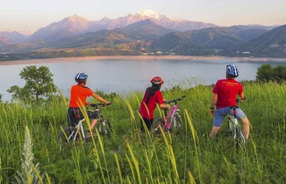 Кейбір кәсіпкерлер табыс салығын 50 пайызға төмендетілген салық мөлшерлемесі бойынша төлейді