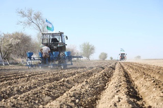 В Кызылтепинском районе первыми в Навоийской области начали посевной сезон