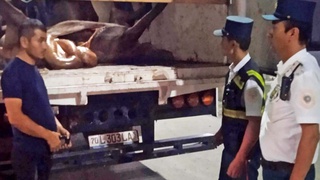 Тошкентда истеъмолга яроқсиз гўшт олиб кириш ҳолатига чек қўйилди