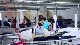 Пандемия: лекин қаловини топса бўларкан