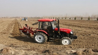 Осуществляется поддержка инициативных проектов