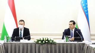 Венгерские эксперты окажут содействие в социально-экономическом развитии регионов Узбекистана