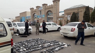 Ноқонуний тарзда 266 дона кабутар овлаган шахс жавобгарликка тортилди