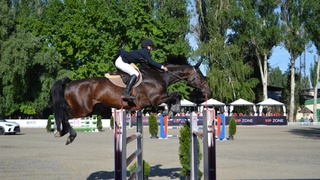 Jahon kubogi bosqich bellashuvlarida chavandozlarimiz gʻolib va sovrindorlar safida