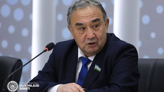 Состоялось заседание Комитета по вопросам развития региона Приаралья