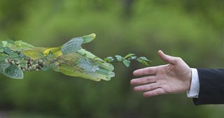 Экология ва атроф-муҳитни муҳофаза қилиш соҳалари янада такомиллаштирилади