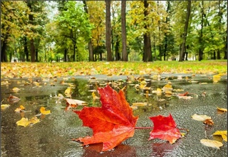 Рӯзи якшанбе борон ва поинравии ҳарорат дар назар аст