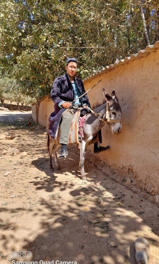 “Kino 5 kunda” loyihasi start oldi