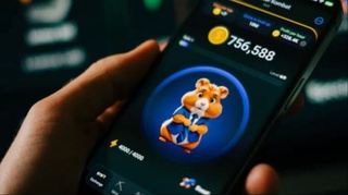 14 yoshli bola Hamster Kombat tufayli ruhiy kasalxonaga yotqizildi