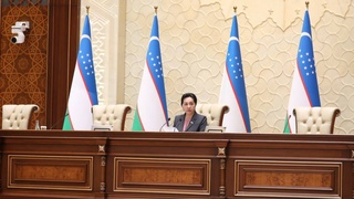 Сенат Олий Мажлиса принял Закон о защите женщин и детей от насилия