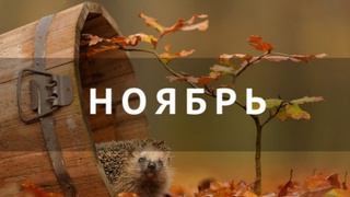 Ноябрь ойининг бошида қуруқ ва иссиқ ҳаво сақланади