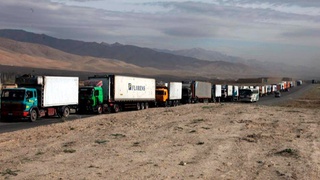 Ҳиндистон илк бор Ўзбекистонга тижорат юкини жўнатди