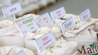 Klaster — bir necha yoʻnalishlarni jamlagan yirik tuzilma