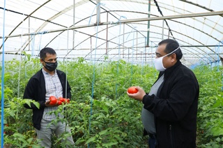 Ихчам иссиқхоналар — даромад манбаи