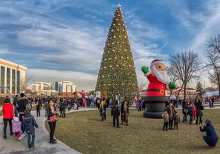 Новый год без снега и сильных морозов: синоптики рассказали о погоде на вторую половину декабря
