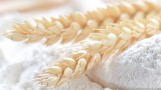 5 ойда 158,4 минг тонна буғдой уни импорт қилинган