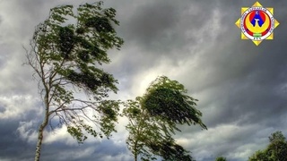 Кучли шамол вақтида қандай эҳтиёт чоралари кўрилади?