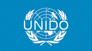 Встреча с главой Регионального координационного отдела ЮНИДО по Европе и Центральной Азии