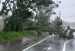 Японияда “Канун” тўфони туфайли 160 мингдан ортиқ уй электр таъминотисиз қолди