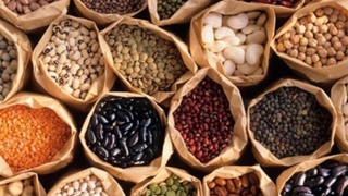 2021 йил ҳосили учун қишлоқ хўжалиги экинлари уруғликлари билан таъминланиши қай даражада?