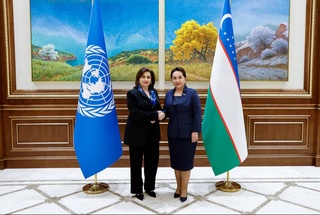 Сотрудничество ООН и Сената вышло на новый уровень