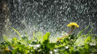 Погода на неделю: снова дожди