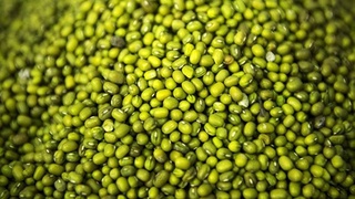 Ӯзбекистон дар се моҳ 18,8 ҳазор тонна мош содир кардааст