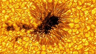 Inouye teleskopi Quyosh “dog'lari”ning noyob tasvirlarini taqdim etdi