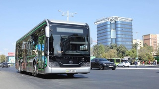 How will public transport work in Tashkent during the holidays?