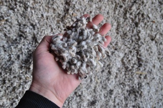 Самарқандда қарийиб 5 минг тонна уруғлик чигит тайёрланмоқда