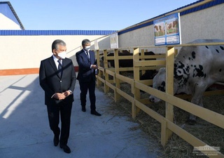 Президент қишлоқ хўжалиги лойиҳаларини кўздан кечирди