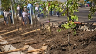 Ўзбекистон фахрийларининг ижтимоий фаолиятини қўллаб-қувватлаш "Нуроний" жамғармаси, Ўзбекистон мусулмонлари идораси, Конфессиялар ишлари бўйича кенгаш ҳамда Миллий маданий марказлар Республика жамоатчилик кенгашининг халқимизга МУРОЖААТИ